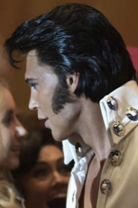 Elvis